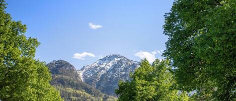 A mountain landscape with a clear sky, surrounded by trees and a building.