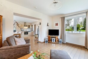 Tv, eldstad, dvd-spelare och en stereo