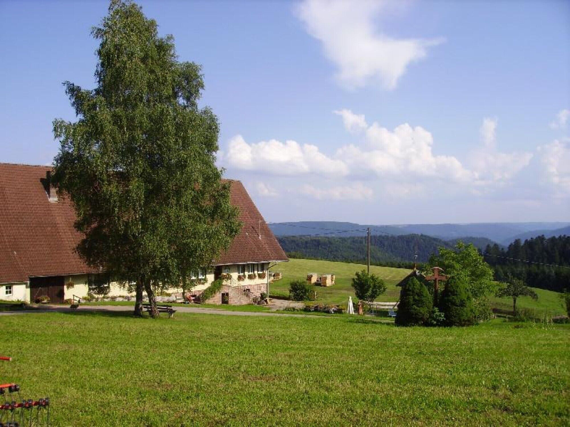 Ein großes Haus mit schrägem Dach, umgeben von einer grünen Wiese und Bäumen.