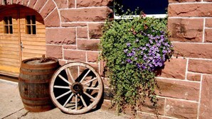 Un bâtiment rustique avec une porte en bois, une fenêtre dotée d’un cadre bleu et une brouette.