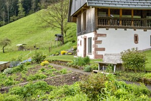 Parco della struttura