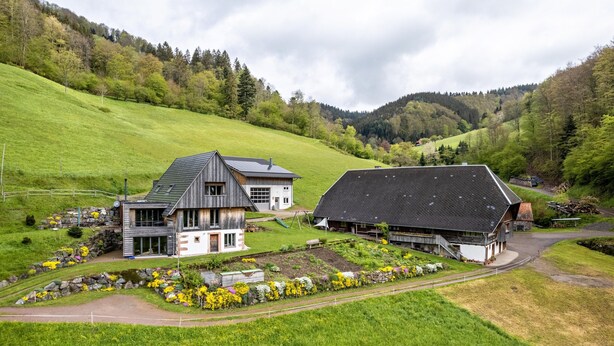 A rural setting with a large house and barn, surrounded by green fields and hills. - Metzgerbauernhof Apartment with Shared Terrace, Garden, and Wi-Fi (Wolfach)