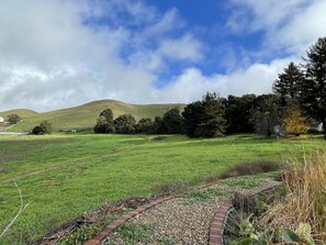 Terrain de l’hébergement 