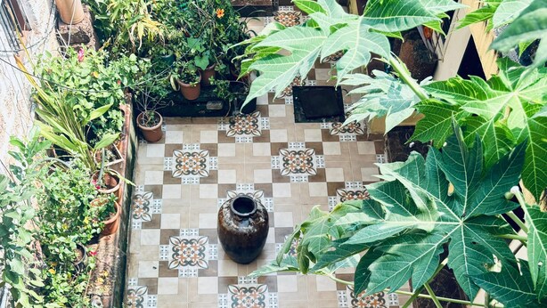 A courtyard with a tiled floor featuring geometric patterns, surrounded by large leafy plants and potted plants. - Sun And Sand Holiday Home (Malvan)