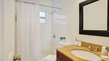Shower, hair dryer