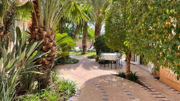 A paved pathway lined with palm trees and greenery, leading to a table and chairs set outdoors. -  Relax in the beauty of a saffron farm in the foothills of Atlas Mountains  (Marrakech)
