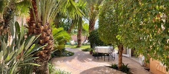  Relax in the beauty of a saffron farm in the foothills of Atlas Mountains 