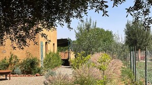A courtyard with a gravel path, a wooden bench, and a variety of plants and trees. -  Relax in the beauty of a saffron farm in the foothills of Atlas Mountains  (Marrakech)