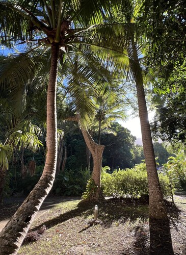 BUNGALOW TERRA Sarramea