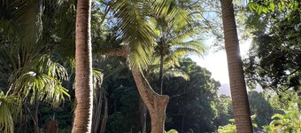 BUNGALOW TERRA Sarramea