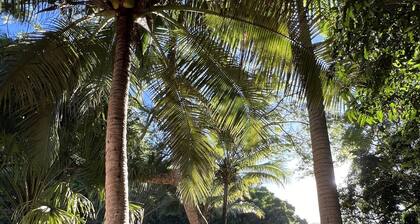 BUNGALOW TERRA Sarramea