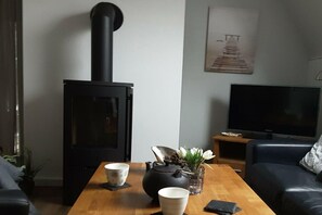 Smart TV, chimenea, reproductor de DVD y libros 