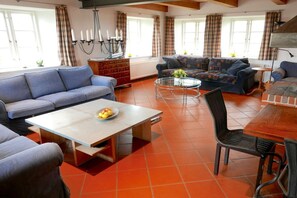 Smart TV, chimenea, reproductor de DVD y libros 
