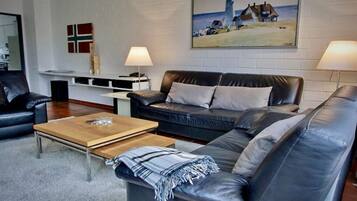 Smart-TV, Kamin, DVD-Player, Bücher