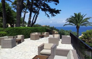 Terras