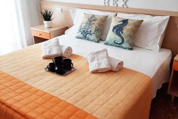 Standard Studio | Cribs (surcharge), rollaway beds (surcharge), bed sheets