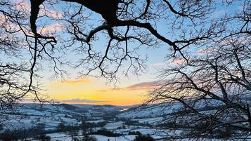 Un paysage où des champs couverts de neige s’étendent à perte de vue, et un arbre aux branches nues se découpe sur le ciel au coucher du soleil.