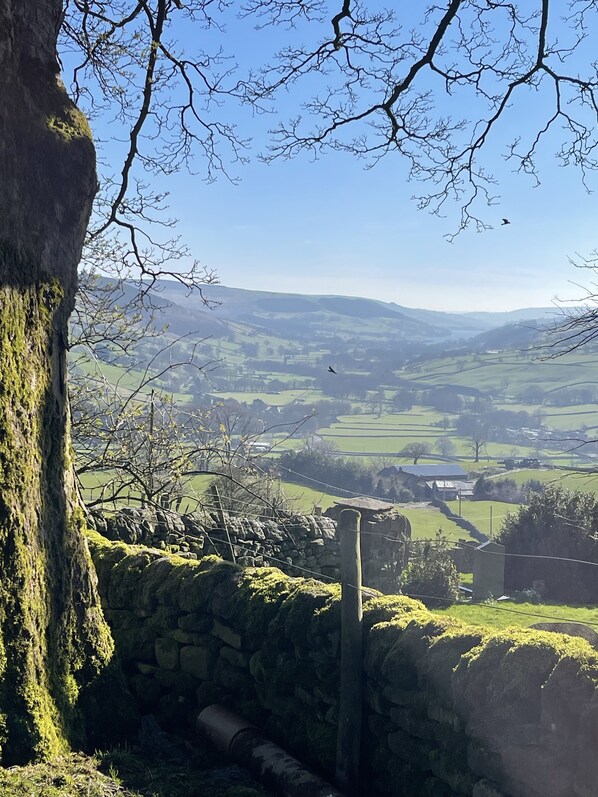 A stone wall with a rustic wooden post, a moss-covered tree trunk, and a view of rolling hills and fields.