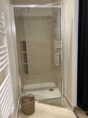 Shower, hair dryer, soap, toilet paper