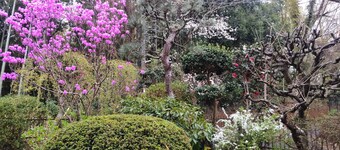 Guesthouse Oomiya base