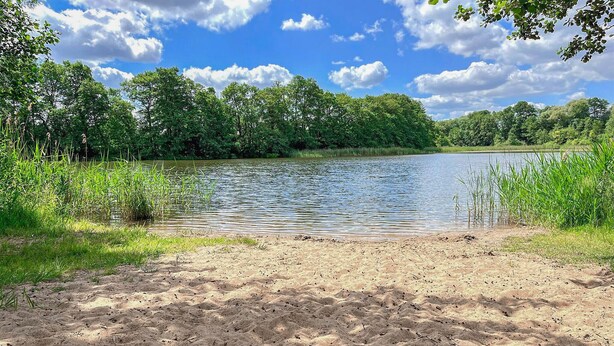 A sandy beach with a calm lake surrounded by dense greenery and trees. - Ferienwohnung Hohen Wangelin (Hohen Wangelin)
