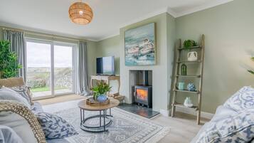 Televisión, chimenea