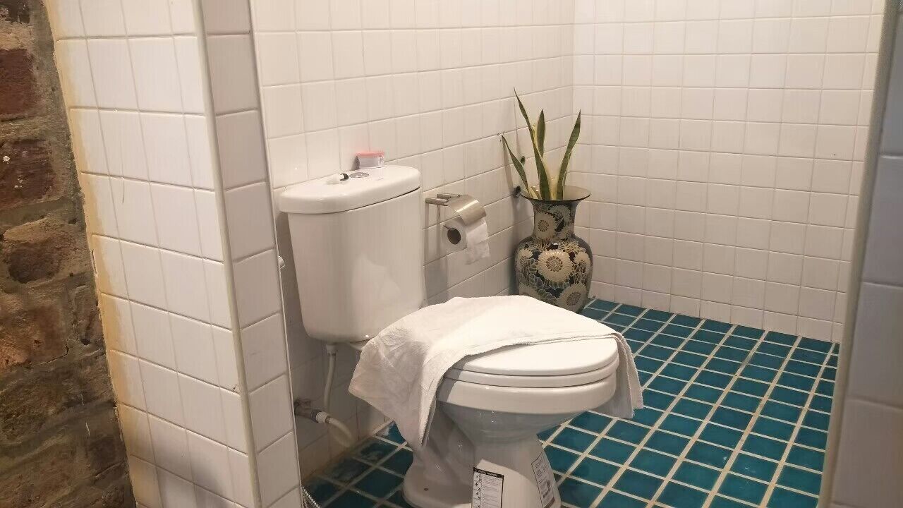 Ein Badezimmer mit einer weißen Toilette, einem blauen Fliesenboden und einer dekorativen Vase mit Pflanzen.