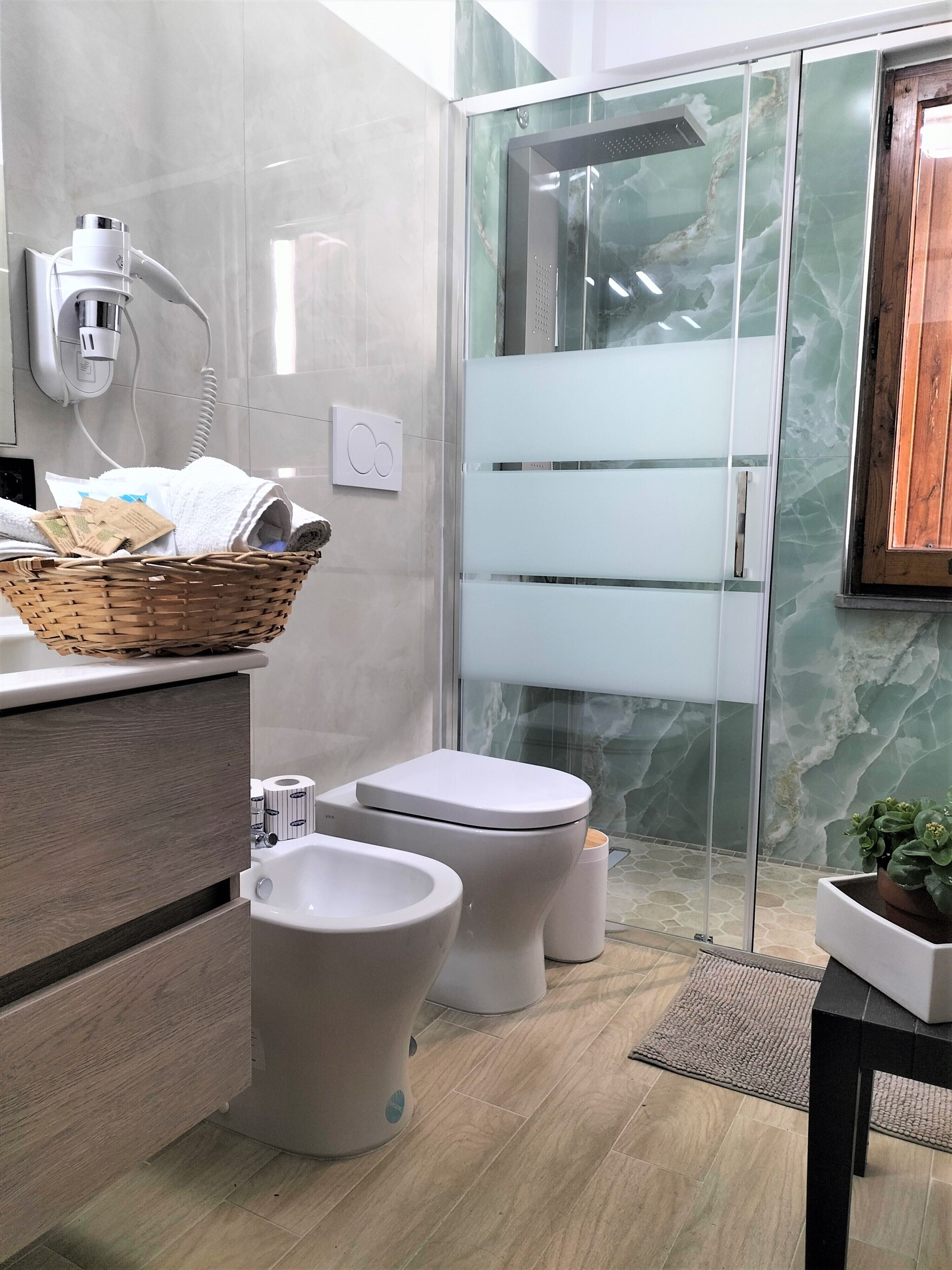 Shower, hair dryer, bidet, towels