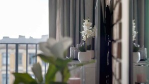 A room with a view through a window, a potted plant, and a mirror reflecting the room.