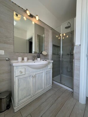 Shower, hair dryer, towels