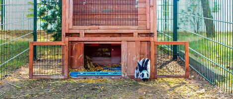 Terrain de lâhĂ©bergement