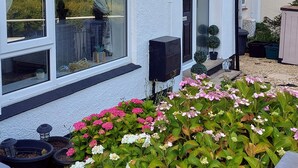 A white house with a large window, a door, and a small garden with pink and white flowers. - Serenity Holiday Let in South Chard (Chard)