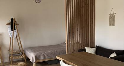 Soul Apartment in the center