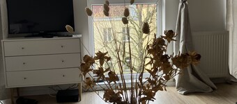 Soul Apartment in the center