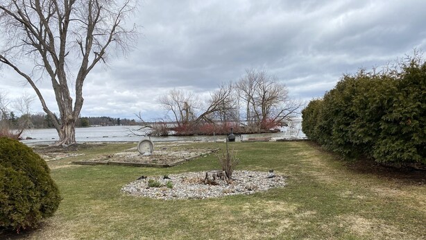 Un jardin aménagé avec vue sur un lac, comprenant un grand arbre, un petit étang et divers arbustes.