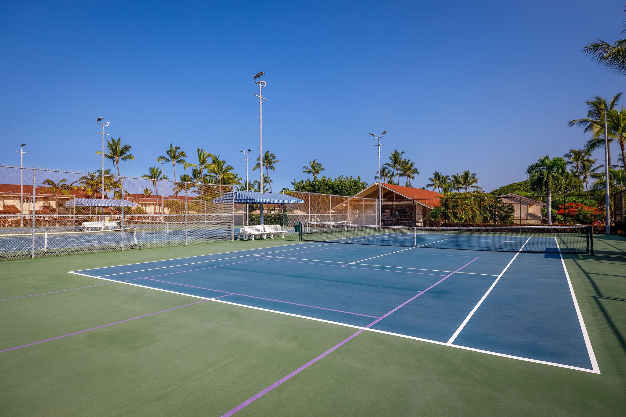 A tennis court with a net, surrounded by a fence, and palm trees in the background.