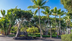 L’entrée d’un complexe hôtelier tropical, avec des palmiers, une enseigne en pierre et une pelouse bien entretenue.