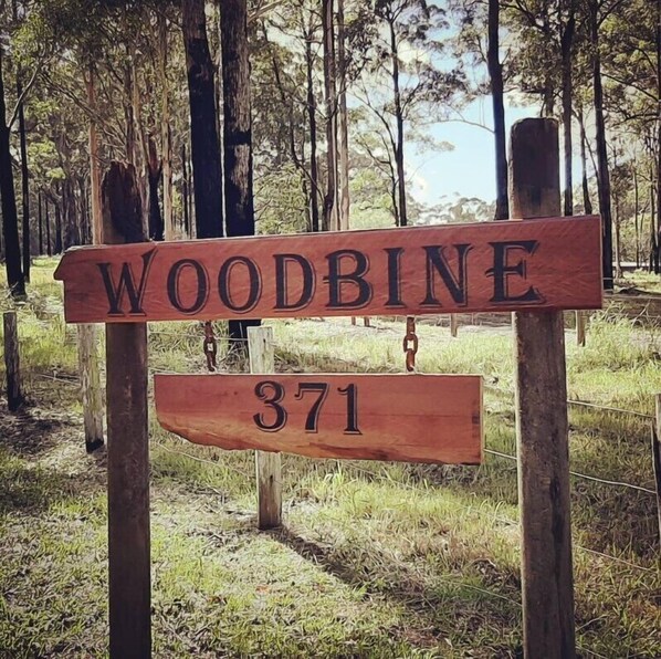 Detalle del exterior