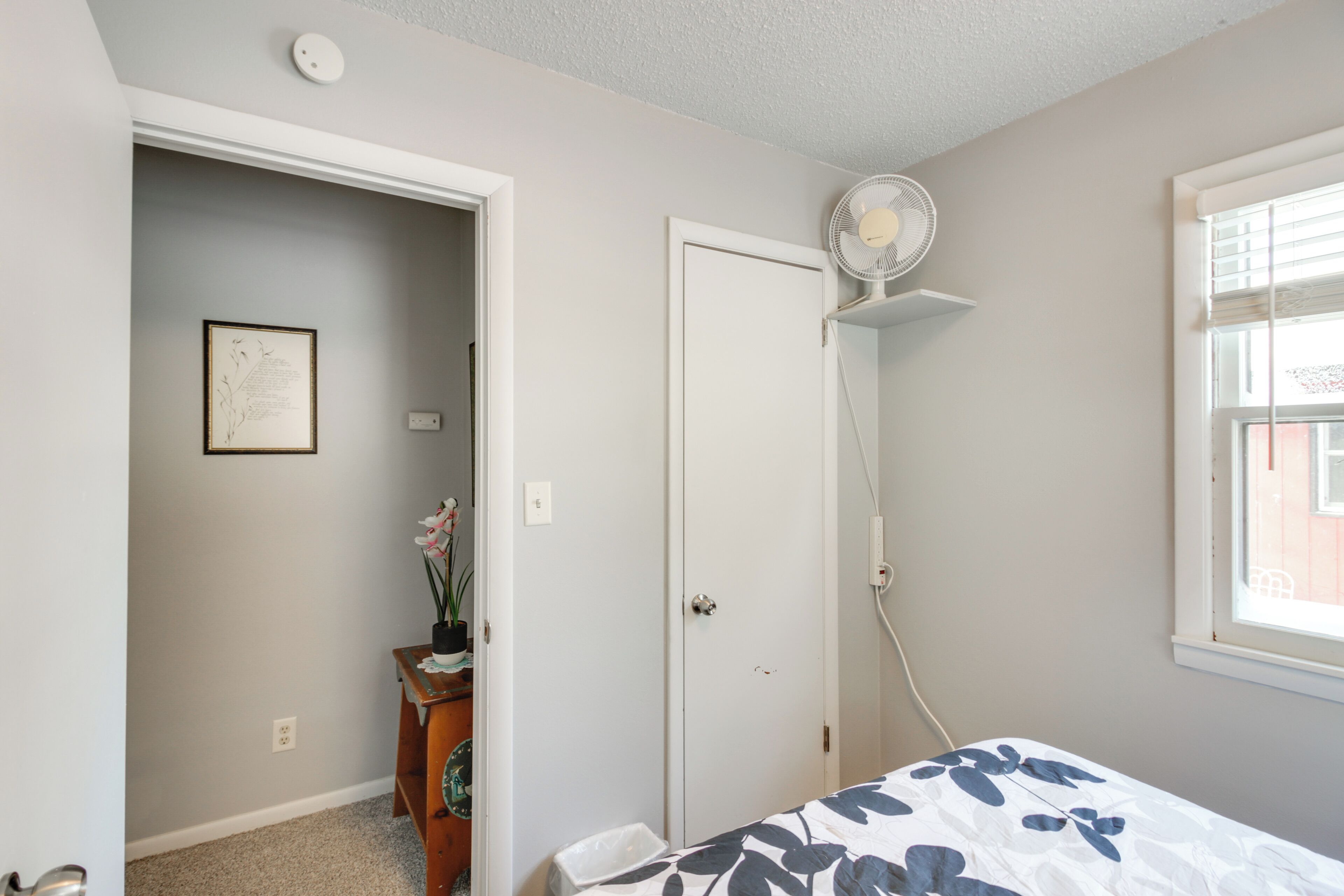 A bedroom with a bed, a door, a fan, a window, and a small table with a plant.
