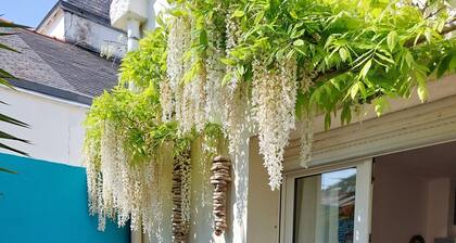 Small Single-storey House and its South-facing Garden