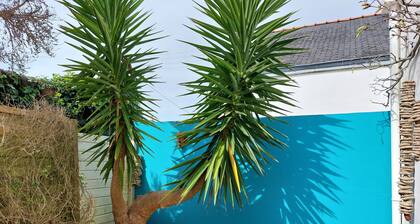 Small Single-storey House and its South-facing Garden