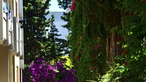 A narrow alleyway with a stone pavement, surrounded by lush greenery and flowering plants. - Residence with pool in Alghero  (Alghero)