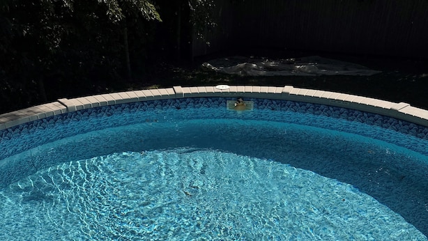 A clear blue swimming pool with a white ladder and steps leading into it. - Quiet Getaway 5 minutes from Galesburg with pool and hot tub (Galesburg)