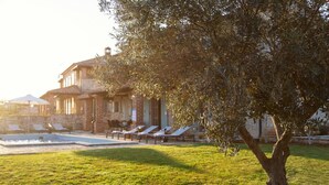 A villa with a swimming pool, lounge chairs, and a large tree in the foreground. - Rustic Villa Clematis with a pool in Istri, panoramic view, pet friendly (Sveti Lovrec)