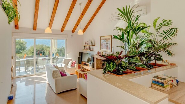Un salon spacieux avec une grande fenêtre, un canapé blanc, un plafond en bois et diverses plantes.
