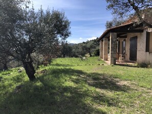 Área da propriedade