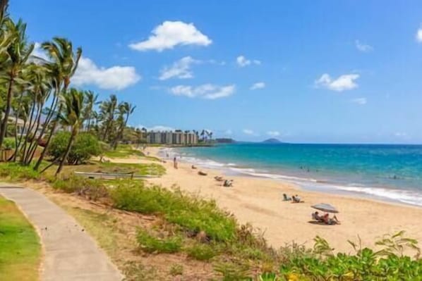 Chaises longues, serviettes de plage