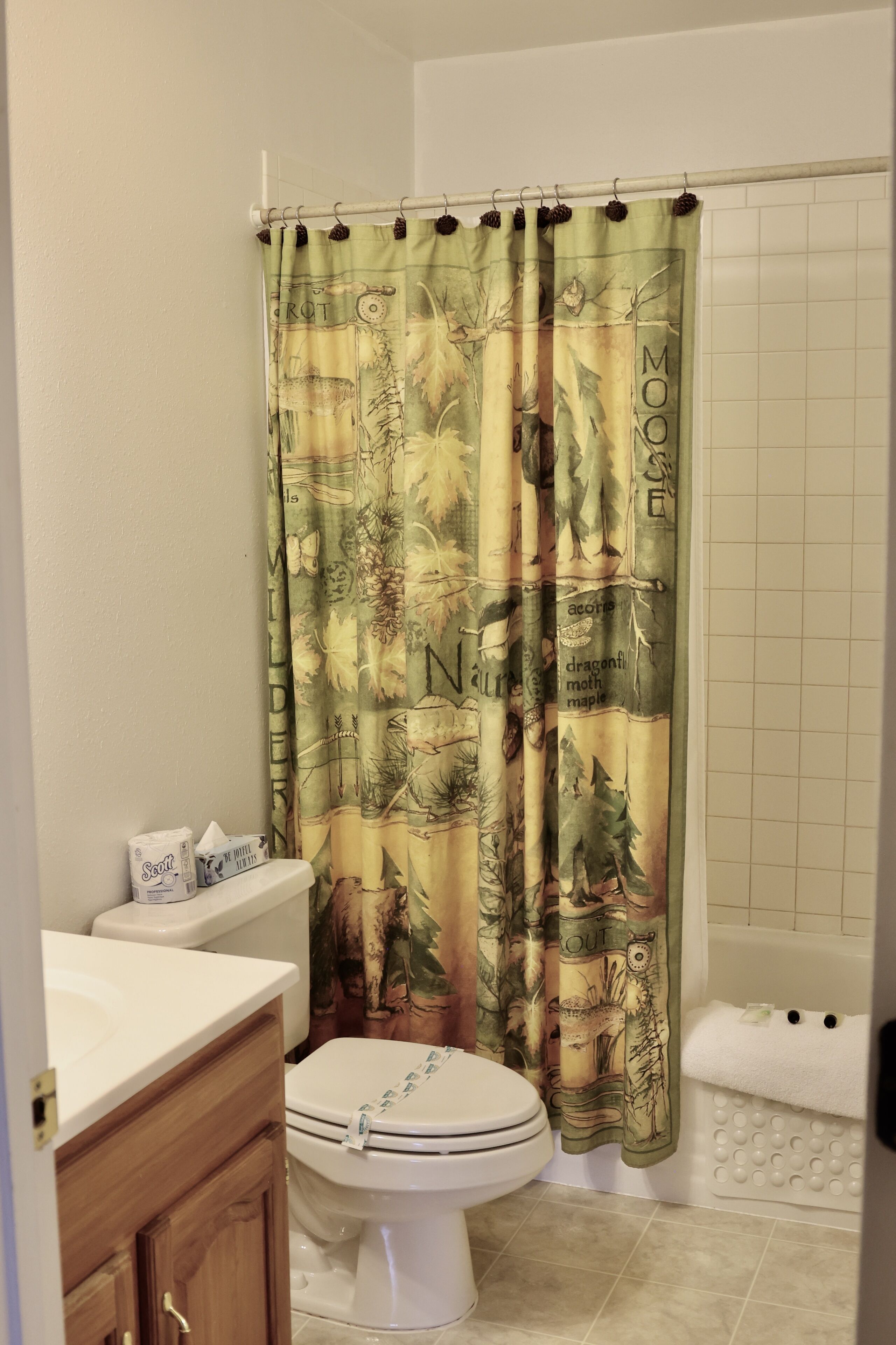 Une salle de bain avec des toilettes, un lavabo et une baignoire.