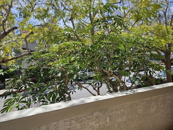 Enjoy a serene view of the tree-lined street from this balcony.