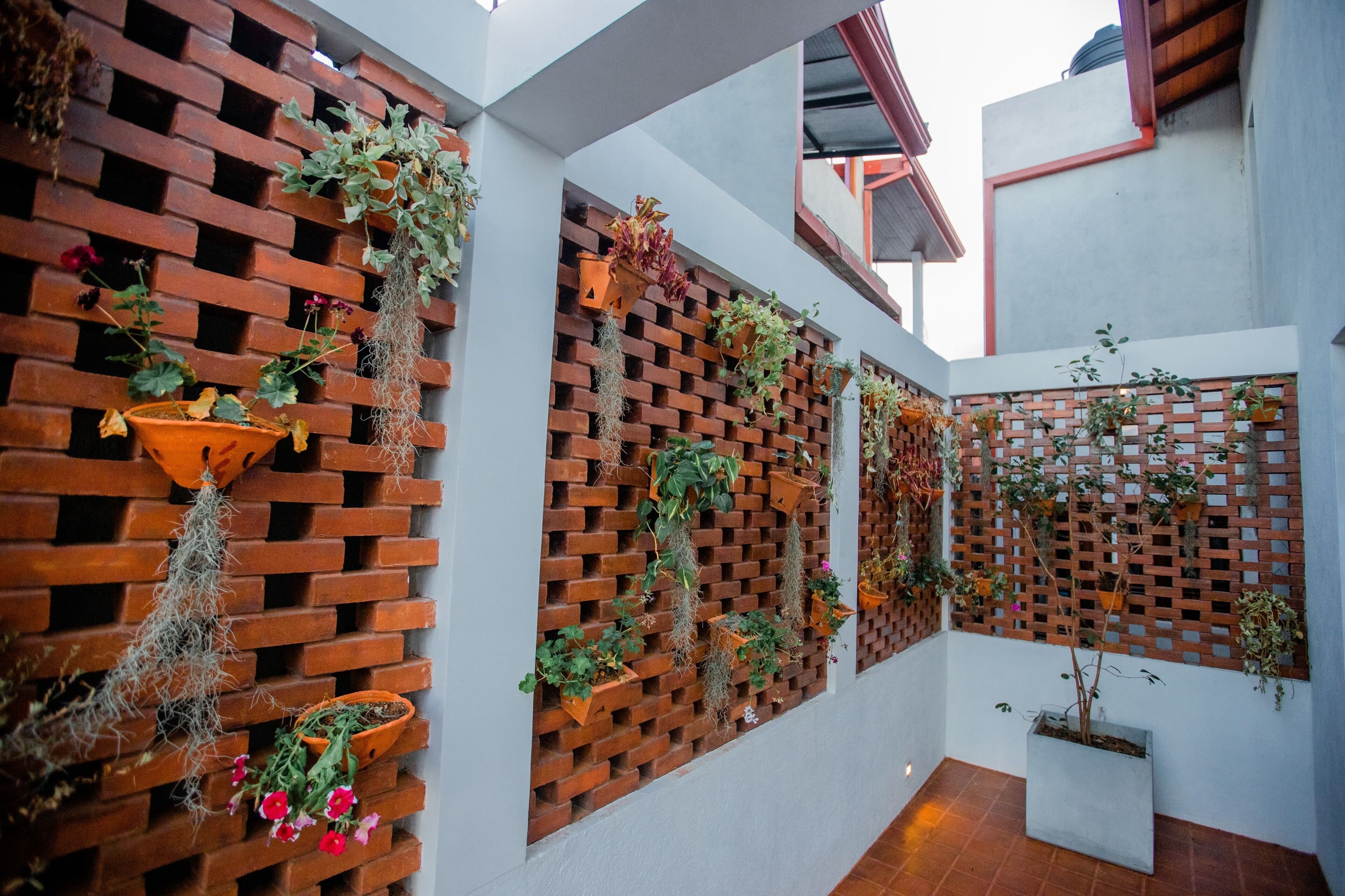 Un intérieur moderne avec des murs en briques ornés de diverses plantes en pot et de plantes suspendues.